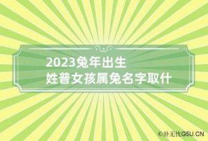 2024最受欢迎的女孩名字，属兔