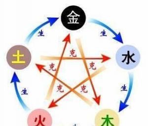 了解梓字的五行属性及其深层含义