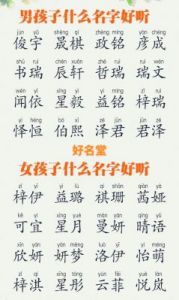 宝宝取名大全，生辰八字，免费起名