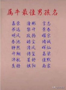 刚出生的小宝宝取什么名字合适