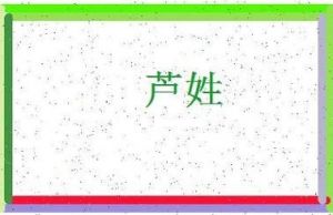 宝宝姓芦，起什么名字好？