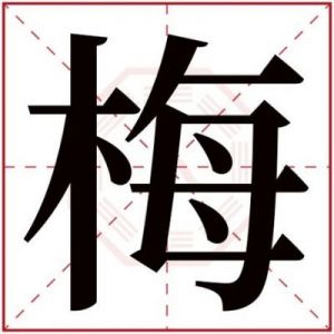 宝宝姓梅的取名大全