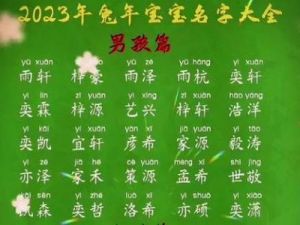 兔年生男宝宝起名2023：气度非凡的男孩名字推荐