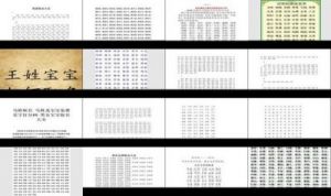 今年出生的男宝宝名字指南：拥有属兔独特意义的选择