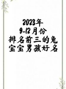 兔年出生的男孩起名大全：属兔男孩最吉利的名字