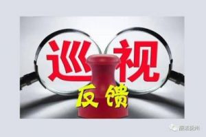 刘本芳任上被查，涉及省委巡视工作