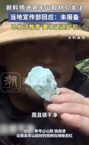 博主山取进哀牢山采集矿石后被要求返还 律师：个人无权私自进山取矿