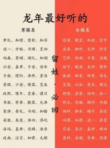 宝宝取名免费指南：如何为您的孩子取一个好名字