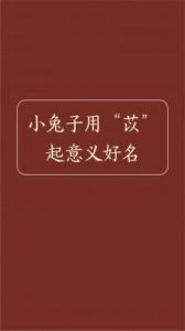 小孩名字2023年属兔取名大全及免费