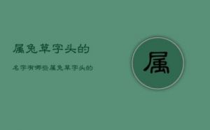 吉利的属兔草字头名字男孩宜用字