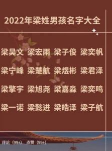 用姓梁的姓名能取得九十分以上的分数