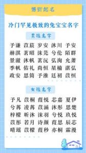 兔宝宝取什么名字最好？男孩阳刚硬气的名字推荐