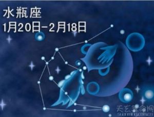 2月4日出生的人是什么星座？