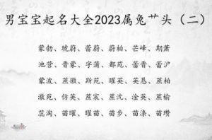 免费命名：2023年新生宝宝取名服务