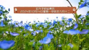 为2024年10月14日的生肖好运排名榜单。