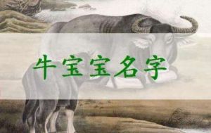 黄姓男孩2021年取什么名好？男宝宝名字属牛