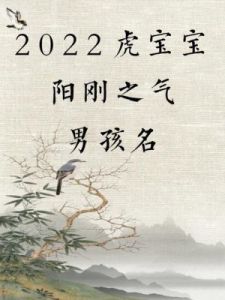 阳刚霸气的男宝宝取名法——以属兔为基准，打造响亮独特的名字