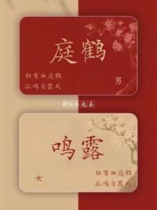 如何为龙凤胎选择一个令人惊艳的名字