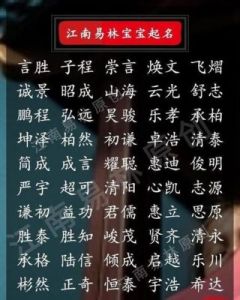 男孩取名中带有“漾”字的寓意有哪些好的选择？