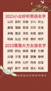 兔年女宝宝的最佳取名策略：2023属兔宝宝名字推荐免费