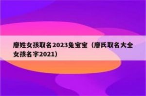 女孩姓赵的有气质名字，女儿名字库中有寓意的2023属兔