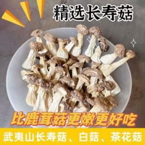 学会制作白玉菇和白灵姑汤的方法，快来学习吧！