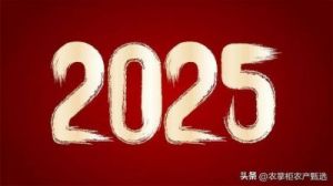 2025年属兔人的运势：乙巳年 生肖兔