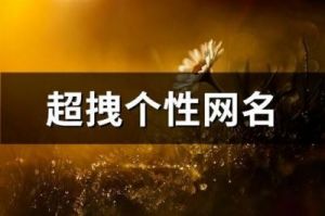 10月中旬，星空璀璨，繁华散尽，擦肩而过，心心相印的4个生肖