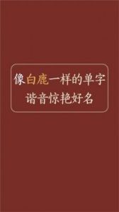 寓意优雅女孩单字取名推荐