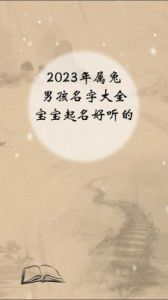 兔年男宝宝取名大全2023款：属兔男孩最吉名字