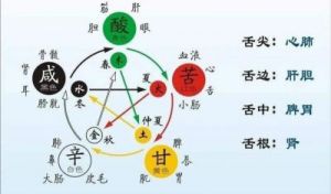 代表谦虚谨慎的五行，谦字属于哪个五行？