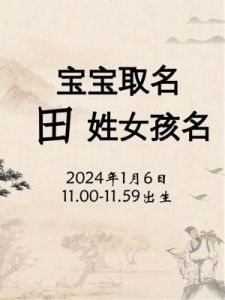 取名姓田的有涵养的宝宝名字