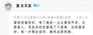 这是什么东西？许多家长感到困惑，孩子们却非要养！近期销量不俗