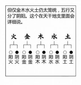 阴阳五行分析：1995年出生的人的八字命理如何？