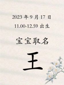 王姓女孩起名指南：简约清新的名字最佳