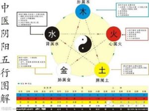 找到平衡：探索“衡”字在五行中的归属