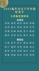 水兔宝宝2023年取名攻略