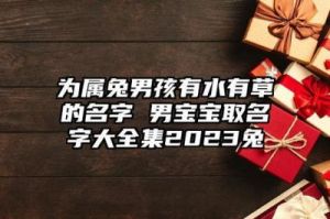 适合属兔的男孩子名字大全：兔男宝宝取名字全集