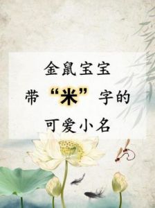 鼠年宝宝带米字的小名大全：吉利名字推荐