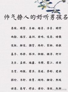 崇尚气质的男孩名字绅士风范的男孩名字