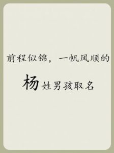 姓杨的男宝宝取名：优美稀少的杨姓男孩名字