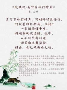 苏轼诗词赋雅男孩名大全