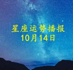 十二星座2024年10月21日运势：学习、交流、奔波的一天