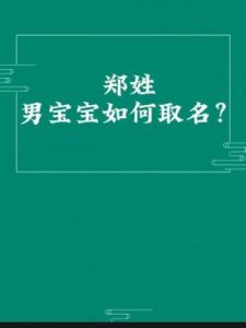 郑姓男孩取名大全：寓意聪慧与睿智