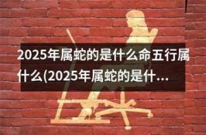 属蛇人2025年的挑战与转运