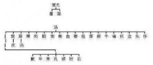 褚姓的起源与分布区域探析