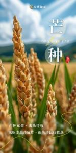 2025年芒种节气出生女孩命名推荐：带“芒”字的优雅名字