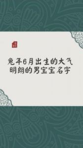 推荐新颖高雅的男婴名字——2025年8月23日出生婴儿命名指南