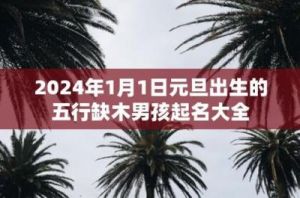 适合2025年元旦出生五行缺木宝宝的名字选择