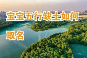 2025年5月出生男孩五行缺土，如何为其取名？